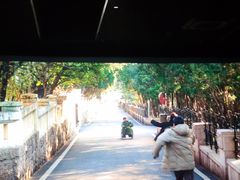 -大光明丽星VIP影城(昌里路杜比全景声店)