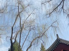 -元大都城垣遗址公园