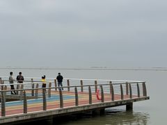 -滆湖低碳生态公园