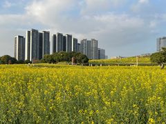 -光明小镇欢乐田园