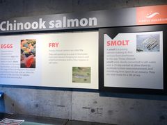 -西雅图水族馆