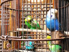 -鱼桥巷·美学川菜