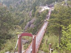 特色索桥-玉苍山国家森林公园