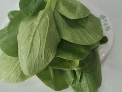 -一代菌王·竹荪鹅(江苏旗舰店)