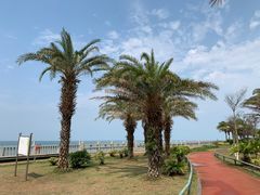 -海口骑楼老街历史文化街区