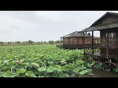 -军山湖云水间水上餐厅(进贤店)