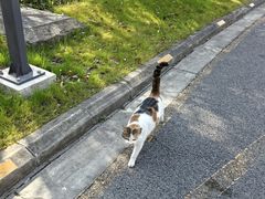 -上海怡沁园度假酒店