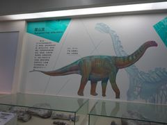 -安徽省地质博物馆