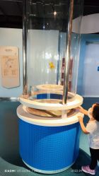 -北京科学中心儿童乐园