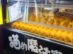 -猫的魔法密林(衣裳街店)