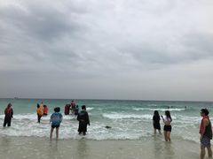 -月光岛