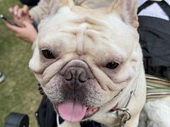 -上海神旺大酒店