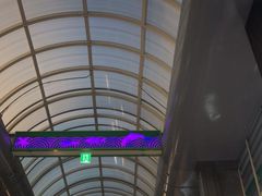 -西归浦每天偶来市场