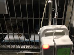 -骐奇宠物诊疗中心(南亭公路店)