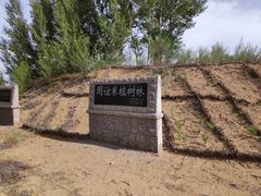 -恩格贝生态旅游区