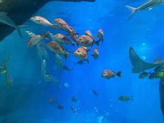 -福州罗源湾海洋世界旅游区