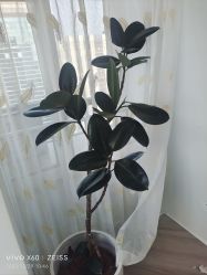 -HEYAN荷妍专业脱毛连锁机构