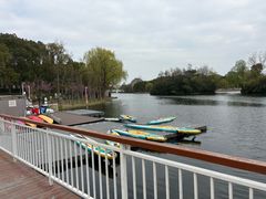 -新江湾城公园