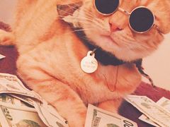 -西安浐灞艾美酒店·汉江餐厅·火锅