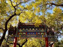 -北京国子监胡同