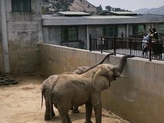 -西霞口神雕山野生动物世界