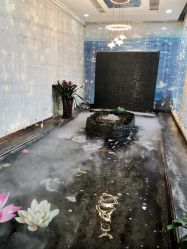 -石家庄苏亚美联臣医疗美容医院