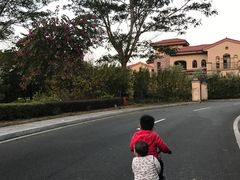 -河源万绿湖美思威尔顿酒店