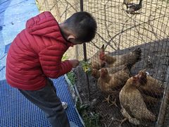 -小鱼草莓采摘园农家乐·小鱼餐厅