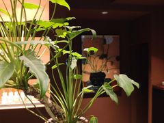 -泰·菩提树下[泰式按摩x精油SPAx肩颈头疗](新景店)