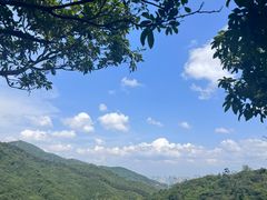 -阳台山森林公园