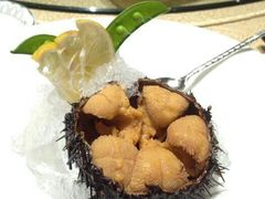 葱烤辽参-玖号公馆