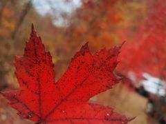 -本溪老边沟风景区