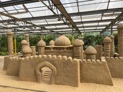 -南宫五洲植物乐园