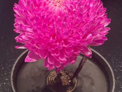 -大拙里·精致融合菜(沙湖桃源国际店)
