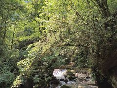 -西岭雪山大飞水景区