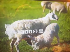 -巴奴毛肚火锅(龙湖锦艺城店)