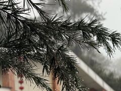 -大金鹰园