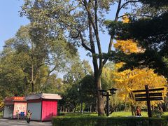 -成都武侯祠博物馆