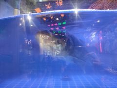-蛙一刀·麻椒鱼火锅(金仙桥店)