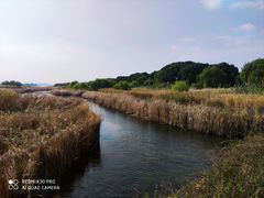 -苏州太湖湖滨国家湿地公园