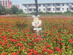 -兰州大学(榆中校区)