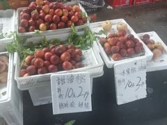 -江杨农产品批发市场