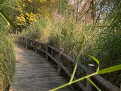 -成都市活水公园