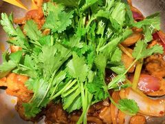 -禄婶鸡煲·打边炉
