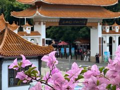 -深圳仙湖植物园-停车场