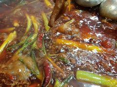 -星鸿社重庆老火锅(燃灯寺分店)