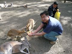 -费瑟代尔野生动物园