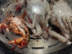 -半岛听涛蒸汽海鲜自助(K11店)