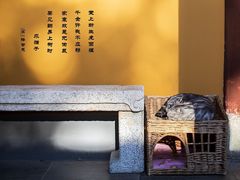 -龙华寺