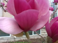 -北京宽沟会议中心